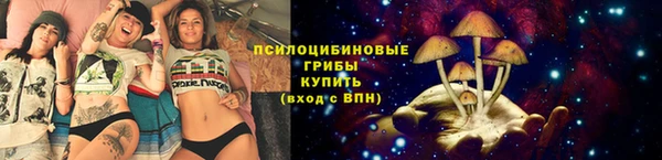 прущие крисы Вязники