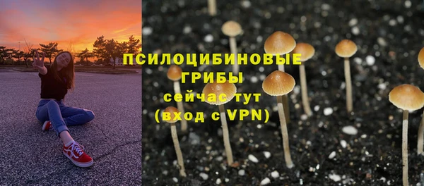 скорость mdpv Вяземский