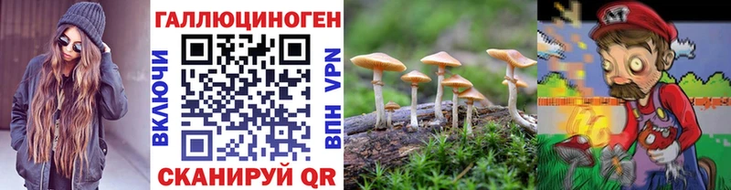 Галлюциногенные грибы ЛСД  Купить  Бирюсинск 